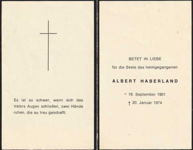 Albert Haberland