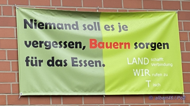 Bauer